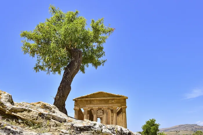Framed Print : Temple of Concordia in the Valley of the Temples Framed Print : Temple of Concordia in the Valley of the Temples