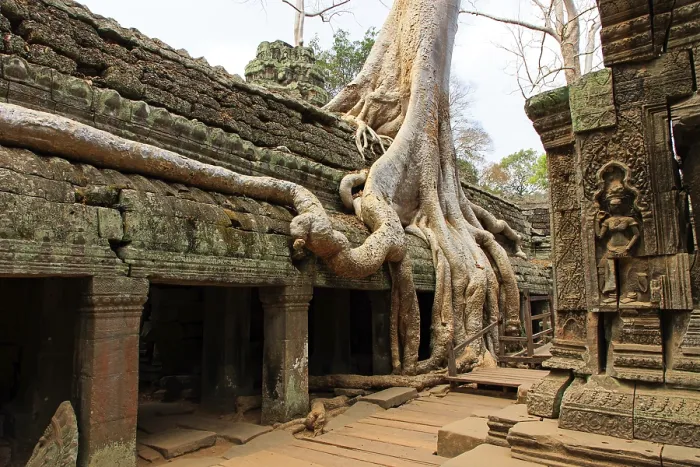 Framed Print : The temple of Ta Prohm in Cambodia