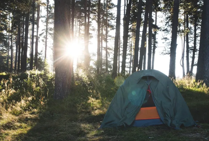 Framed Print : Tent in the forest on sunlight. Pine trees Framed Print : Tent in the forest on sunlight. Pine trees