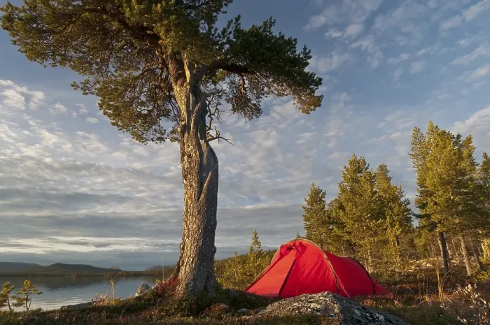 Framed Print : Tent at Lake Gutulisjoen, Gutulia National Park