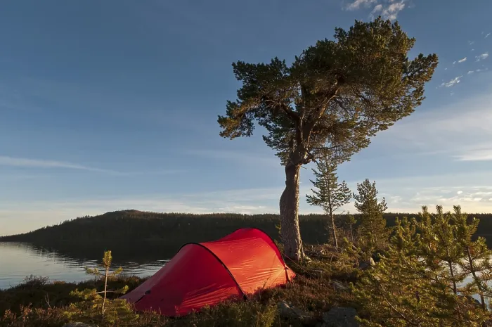Framed Print : Tent at Lake Gutulisjoen, Gutulia National Park