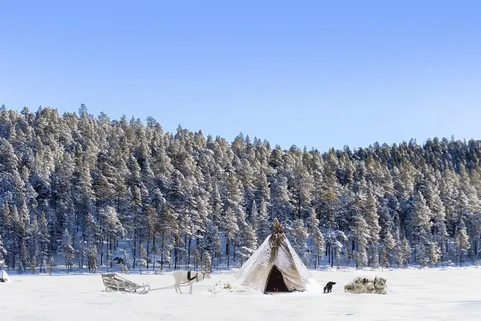 Framed Print : Tent with reindeer and dog in snowy Ivalo