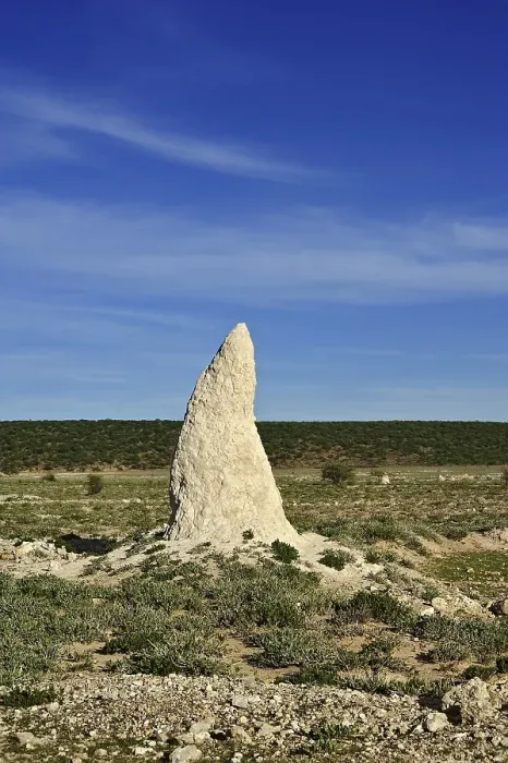 Framed Print : Termite mound, Etosha National Park