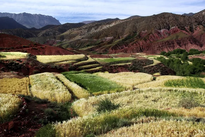 Framed Print : Terraced fields and mountains in the High Atlas region near Achaouikh