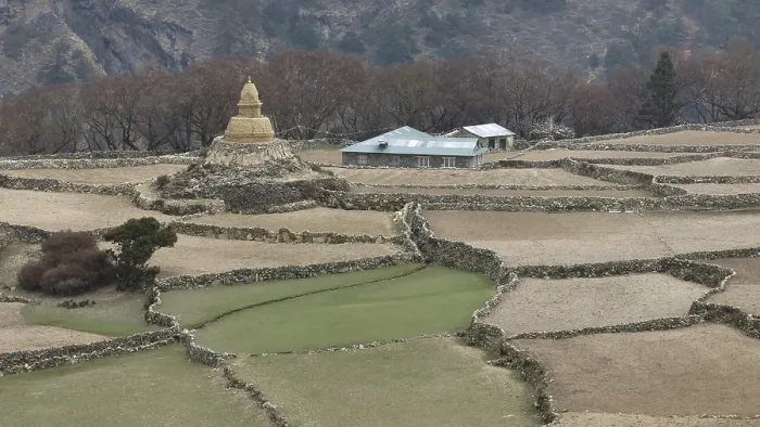 Framed Print : Terraced fields and old Stupa
