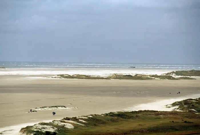 Framed Print : Terschelling, dunes Framed Print : Terschelling, dunes