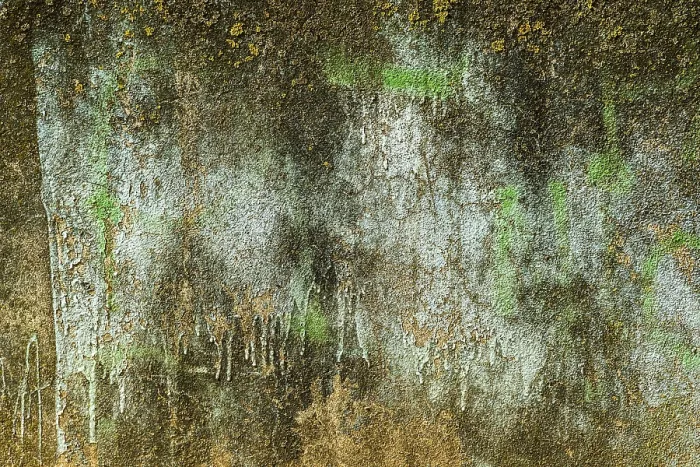 Framed Print : A textured wall displays layers of peeling blue and brown paint
