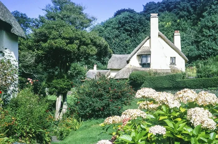 Framed Print : Thatched cottages in Selworthy, Somerset, England UK autumn 1968
