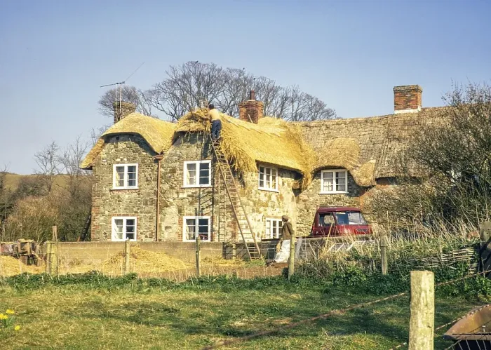 Framed Print : Thatcher at work on the roof of a timber-framed house, Isle of Wight, England, UK 1973