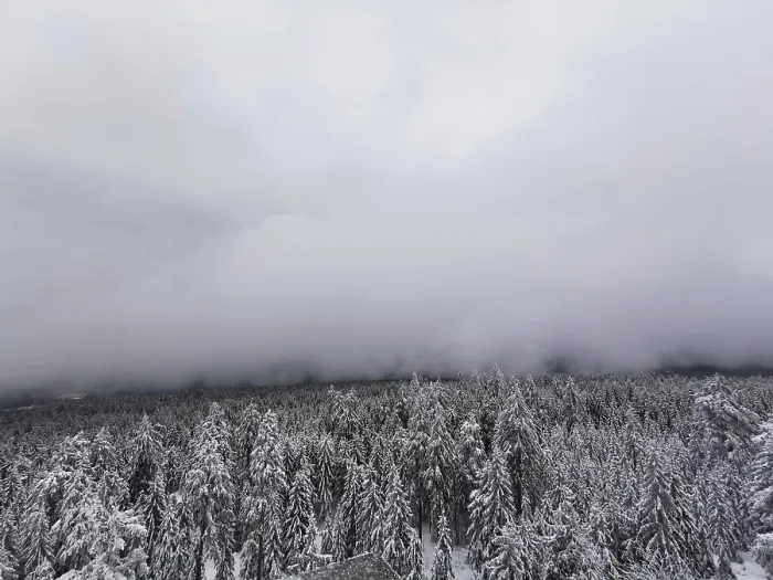Framed Print : Thick fog surrounds a snow-covered forest landscape Framed Print : Thick fog surrounds a snow-covered forest landscape