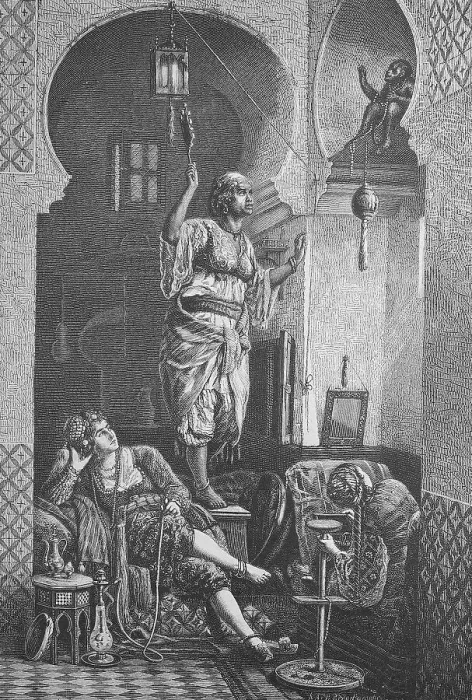 Framed Print : The thieving monkey. Monkey has stolen a necklace in the harem