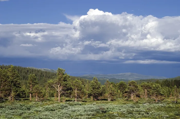 Framed Print : Thunderclouds, Jotunheimen National Park