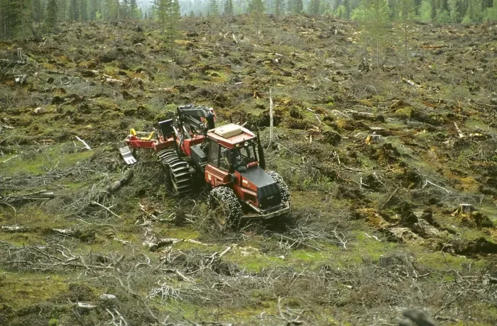 Framed Print : Timber industry, caterpillar at work on clear cut