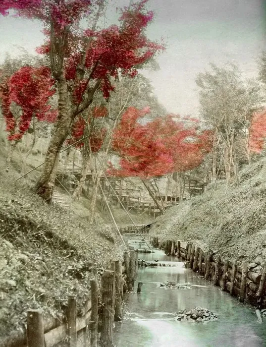 Framed Print : Tofukuji, Kyoto, Japan, Asia