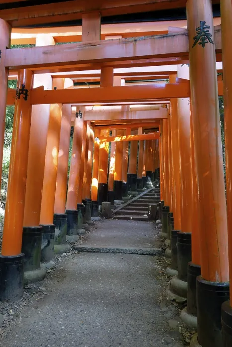 Framed Print : Torii, Fushimi Inari Shrine, Kyoto Framed Print : Torii, Fushimi Inari Shrine, Kyoto