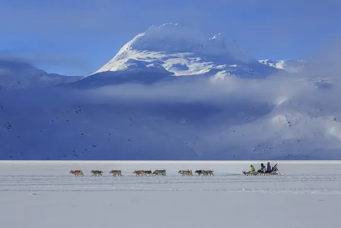 Framed Print : Tourists on dog sleds in front of snowy mountains