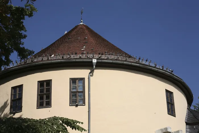 Framed Print : This tower used to be part of Weimar's city fortifications