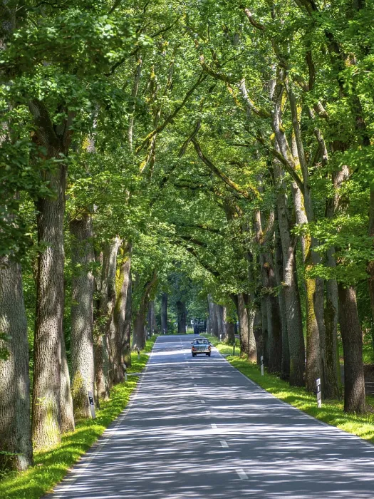 Framed Print : Trabant, Trabbi, on an avenue near Neuruppin