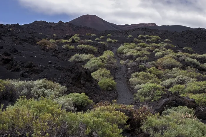 Framed Print : Track through the volcanic landscape with typical vegetation