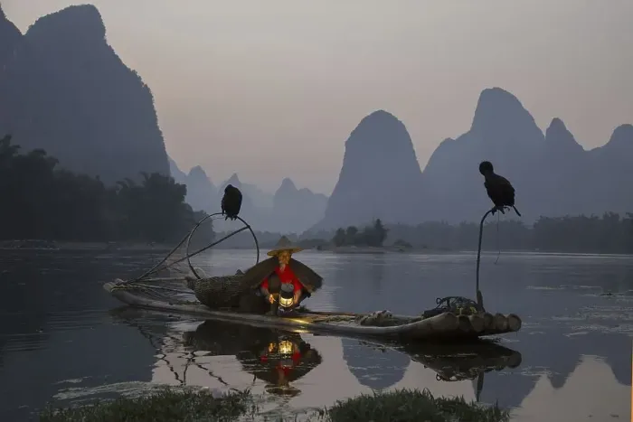 Framed Print : Traditional fisherman with trained cormorants Framed Print : Traditional fisherman with trained cormorants