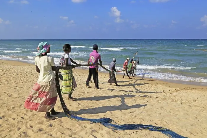 Framed Print : Traditional fishing hauling nets Nilavelli beach Framed Print : Traditional fishing hauling nets Nilavelli beach