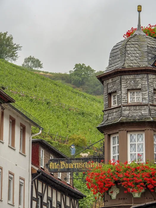 Framed Print : A traditional half-timbered house decorated with flowers in front of a vineyard Framed Print : A traditional half-timbered house decorated with flowers in front of a vineyard