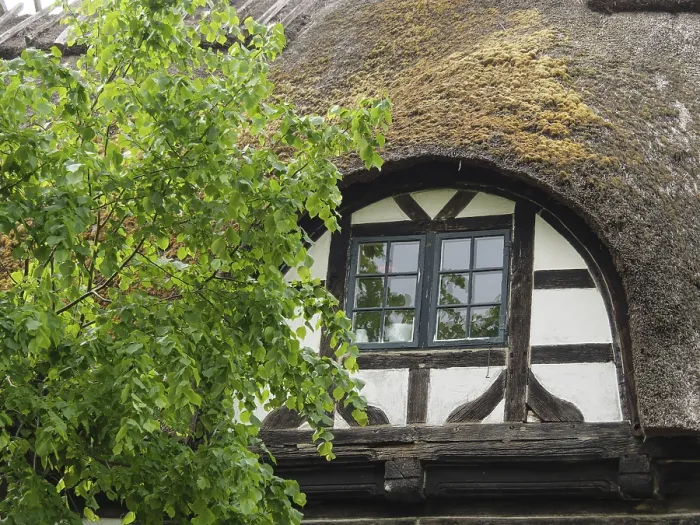 Framed Print : A traditional half-timbered house with a moss-covered roof and a blooming tree in front of it Framed Print : A traditional half-timbered house with a moss-covered roof and a blooming tree in front of it