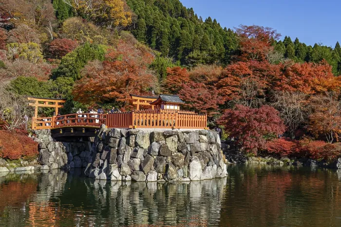 Framed Print : Traditional Japanese garden landscape with red autumn trees and bridge at the pond