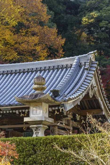 Framed Print : A traditional Japanese temple roof with a stone lantern surrounded by autumn leaves