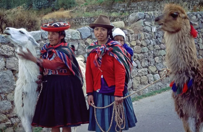 Framed Print : Traditionally dressed woman with llamas and small children in Cusco