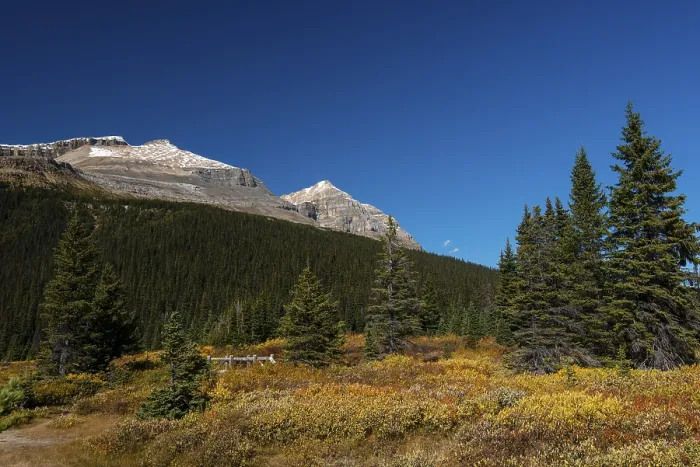 Framed Print : Trail on glacial lake Bow Lake
