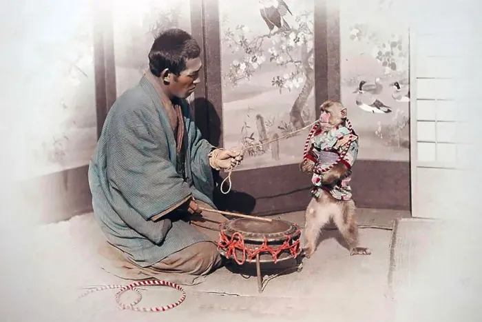 Framed Print : Trained monkey, Japan, Asia