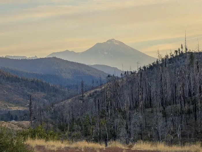 Framed Print : Tranquil nature scenes near mount shasta on lake shasta in california