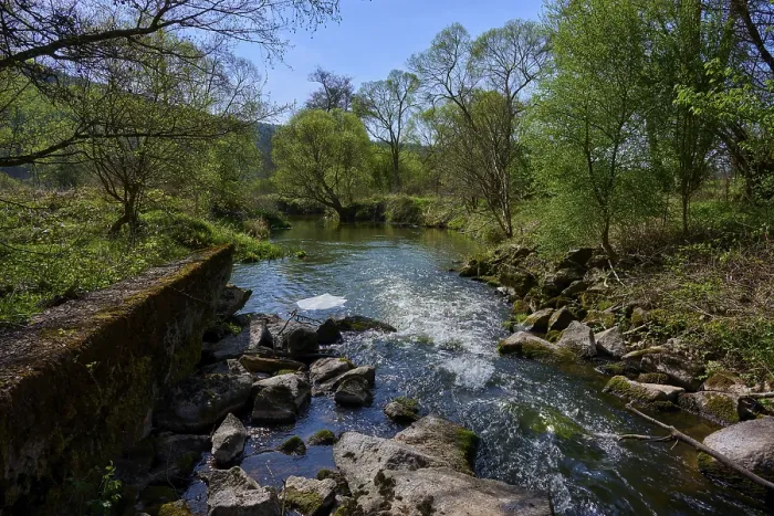 Framed Print : A tranquil river landscape with green trees and stones lining the banks