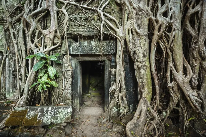 Framed Print : Travel Cambodia concept background Framed Print : Travel Cambodia concept background