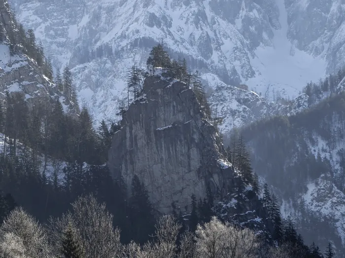 Framed Print : Tree-covered rock in front of snow-covered mountain massif