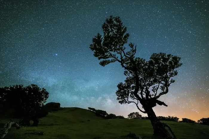 Framed Print : Tree in Fanal Forest, Blue Milky Way and Starry Sky at Night