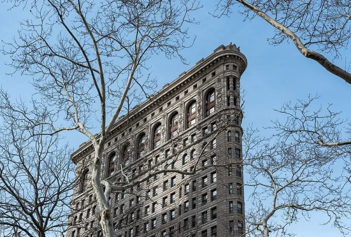 Framed Print : Tree and Flatiron Building, Manhattan