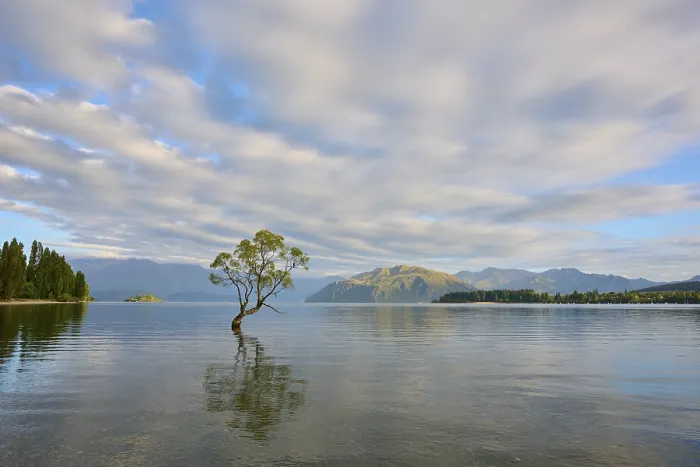 Framed Print : A tree stands in a calm lake with mountains in the background and cloud patterns in the sky