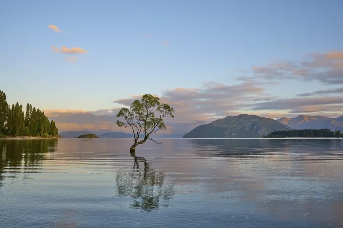 Framed Print : A tree stands in the lake, surrounded by clear mountains and calm morning air