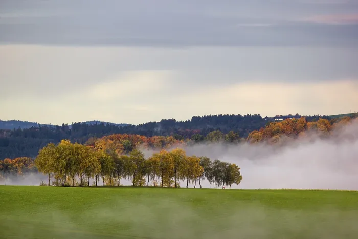 Framed Print : Trees and forests in the early morning mist