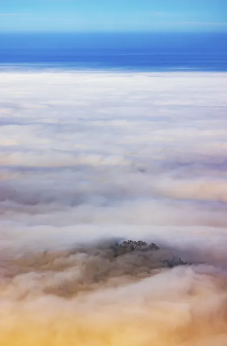 Framed Print : Trees rising out of a sea of fog Framed Print : Trees rising out of a sea of fog