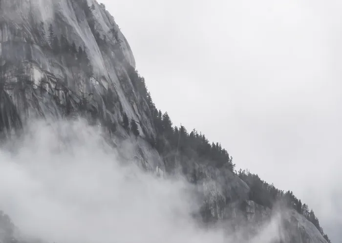Framed Print : Trees and rocky mountain partially obscured by dense fog