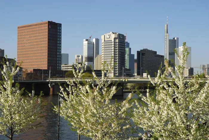 Framed Print : Trees with white blossoms at the riverside of the Main River in front of the skyline of the office and banking district