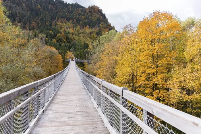 Framed Print : Treetop walk over the autumn forest at Forest Experience Centre Ziegelwiesen Framed Print : Treetop walk over the autumn forest at Forest Experience Centre Ziegelwiesen