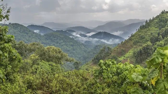 Framed Print : Tropical rainforest, hilly landscape with clouds in the back