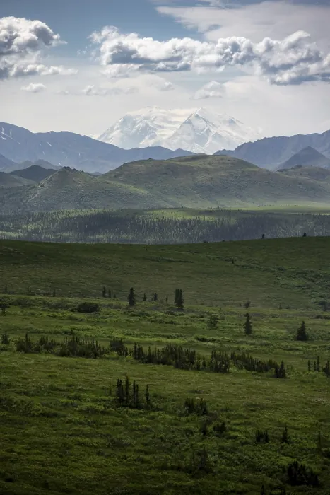 Framed Print : Tundra and glaciated peak of Denali or Mount McKinley Framed Print : Tundra and glaciated peak of Denali or Mount McKinley