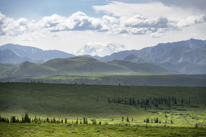 Framed Print : Tundra and glaciated peak of Denali or Mount McKinley