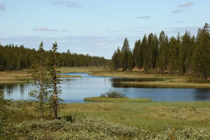Framed Print : Tundra lake, Lapland, Finland, Europe