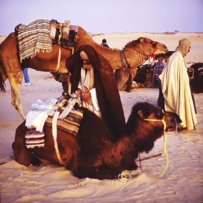 Framed Print : Tunisia with Hammamet by the sea on12